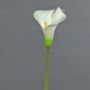 Calla artificielle MIRAC, crème, 75 cm, 12 x 15 cm