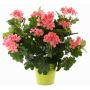 Géranium artificiel MIA sur piquet, rose, 40cm, Ø5-8cm