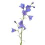 Campanule en soie GISELA, bleu, 65cm, Ø5cm