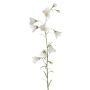 Campanule en soie GISELA, blanc, 65cm, Ø1-4cm