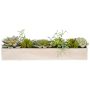Arrangement de plantes succulentes artificielles MINTENA dans une coupe en ciment, vert, 40x8x10cm