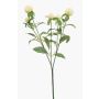 Branche artificielle d'amarante boule DREWON, crème, 65 cm, Ø 2-3 cm