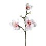 Branche de fleurs artificielles Magnolia BOLKE, rose-blanc, 60cm
