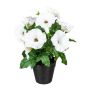 Fleur artificielle Pétunia VALMAR en pot décoratif, blanc, 30cm
