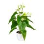Fleur artificielle Anthurium PLOVIR en pot décoratif, racines, blanc-vert, 40cm