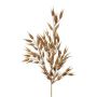 Branche décorative d'avoine lisse SNOLHE avec épis, marron, 65 cm