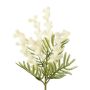 Branche décorative Mimosa KROVEN, blanc, 40cm