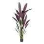 Plante artificielle Heliconia SNALHE, vert-bordeaux, 210 cm