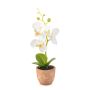 Orchidée Phalaenopsis en plastique LEONISA dans un pot en terre cuite, blanc, 20 cm