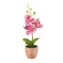 Orchidée Phalaenopsis en plastique LEONISA dans un pot en terre cuite, rose, 20 cm