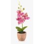 Orchidée Phalaenopsis en plastique LEONISA dans un pot en terre cuite, rose, 20 cm