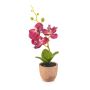Orchidée Phalaenopsis en plastique LEONISA dans un pot en terre cuite, fuchsia, 20 cm