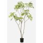 Arbre artificiel Mahonia KLEANA, troncs artificiels, vert, 210 cm
