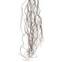 Branche artificielle de saule tire-bouchon MOVINA, suspendu, brun foncé, 170cm