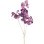 Branche décorative Lathyrus latifolius SLIRKEN, lilas foncé, 75cm
