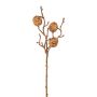 Branche artificielle Noyer FRALMO avec des fruits, brun, 40cm
