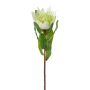 Fleur décorative Protée royale WANBA, blanc, 50cm