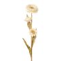 Fleur décorative Phaenocoma prolifera BERLENA, crème, 60cm
