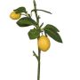 Branche artificielle de citron ADELAIDA avec fruits, jaune, 35 cm