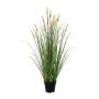 Fausse herbe Pennisetum VELZA avec des panicules, jaune, 95cm