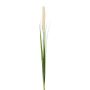 Panicule de pennisetum artificielle KROVE, piquet, crème, 85cm