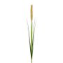Panicule de pennisetum artificielle KROVE, beige, 85cm