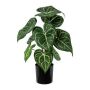 Plante artificielle Anthurium KURMA, vert-blanc, 35cm
