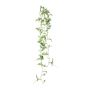 Pendentif décoratif Tradescantia zebrina FROLHE, tige, vert-blanc, 100 cm