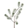 Branche décorative Sapin LUMVOR, givré, blanc, 55cm