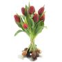 Bouquet de tulipes artificielles LONA avec des bulbes, rouge-noir, 35cm, Ø25cm