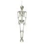 Décoration Halloween Squelette LAMBERT, suspendu, 150cm