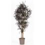 Faux Dracaena Marginata KIMANORA, troncs naturels, vert-rouge, 125cm - Made in Italy