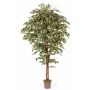 Ficus Benjamina artificiel LINETTE, troncs naturels, vert-blanc, 150cm - Made in Italy