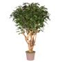 Ficus Benjamina décoratif MICHELE, tronc en bois véritable, vert, 200cm - Made in Italy