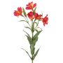 Branche décorative de lys des Andes AUBERTA, rose-jaune, 75 cm, Ø 6 cm