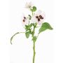 Branche décorative Pensée SIANIE, blanc-rouge bourgogne, 35cm, Ø5-6,5cm