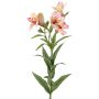 Branche décorative de lys des Andes AUBERTA, rose-fuchsia-jaune, 75 cm, Ø 6 cm
