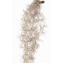 Tillandsia usneoides artificielle LIVADI sur tige, grise, 115cm
