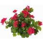 Fleur artificielle de géranium MIA sur tige, fuchsia, 40cm, Ø5-8cm