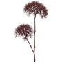 Branche de berce artificielle OTRIS, rouge foncé, 95 cm, Ø 15-20 cm