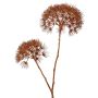 Branche de berce artificielle OTRIS, cuivre, 95 cm, Ø 15-20 cm