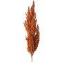 Branche décorative de sorgho WADDY avec épis, orange, 80 cm