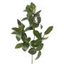 Branche de mangrove artificielle USTERA, bourgeons, difficilement inflammable, verte, 60 cm