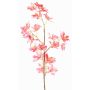 Branche d'orchidée Odontoglossum artificielle BELANIA, rose-jaune, 75 cm