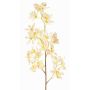 Branche d'orchidée Odontoglossum artificielle BELANIA, crème-rose, 75 cm