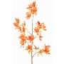 Branche d'orchidée Odontoglossum artificielle BELANIA, orange-jaune, 75 cm