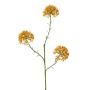 Branche décorative d'allium ALIKIO, orange, 65 cm, Ø 7 cm