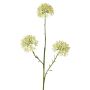 Branche décorative d'Allium ALIKIO, blanche, 65cm, Ø7cm