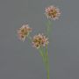 Branche d'Allium artificielle ZEBU, rose, 65 cm, Ø 7 cm
