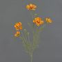 Branche décorative artificielle PONGAU, orange, 70 cm, Ø 5-7 cm